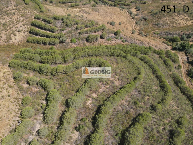 Terreno Agricola ou Rústico para Venda em Vaqueiros Foto 17