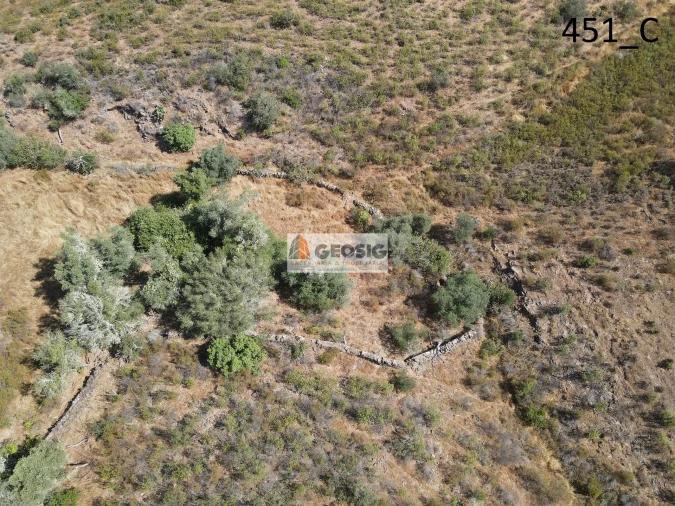 Terreno Agricola ou Rústico para Venda em Vaqueiros Foto 9