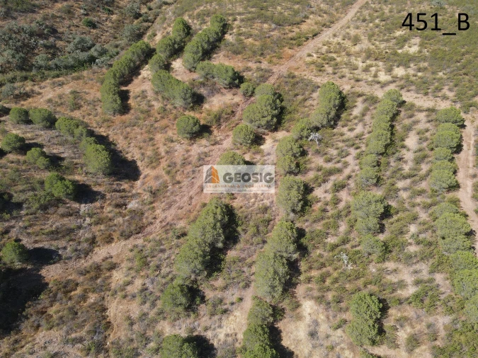 Terreno Agricola ou Rústico para Venda em Vaqueiros Foto 4