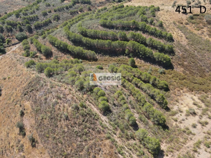 Terreno Agricola ou Rústico para Venda em Vaqueiros Foto 18