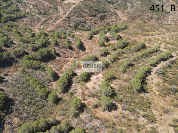 Terreno Agricola ou Rústico para Venda em Vaqueiros Foto 2