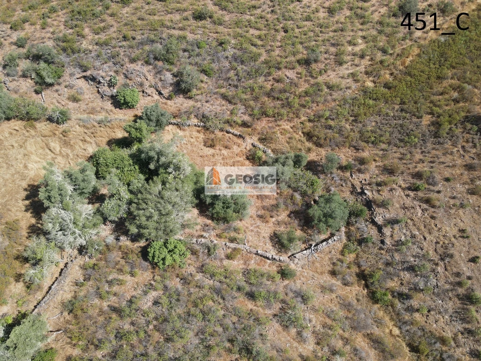 Terreno Agricola ou Rústico para Venda em Vaqueiros Foto 9