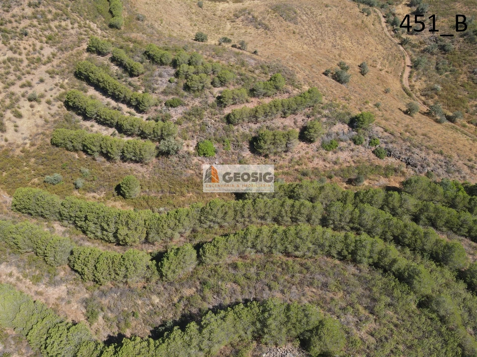 Terreno Agricola ou Rústico para Venda em Vaqueiros Foto 6