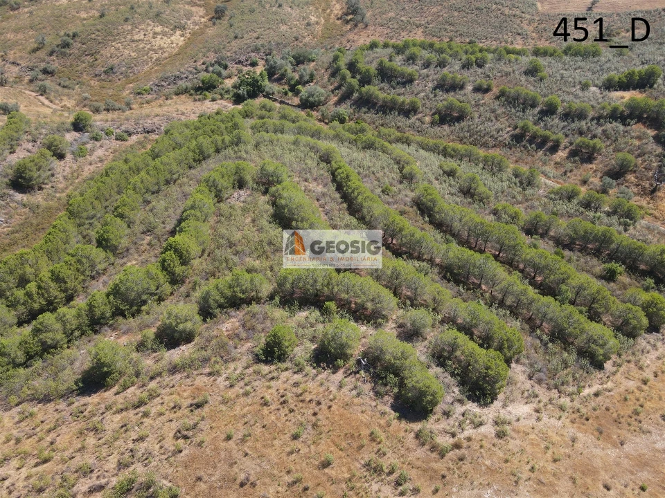 Terreno Agricola ou Rústico para Venda em Vaqueiros Foto 19