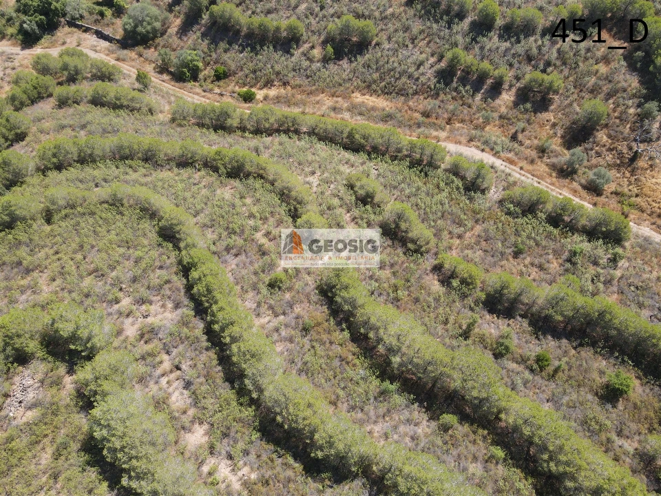 Terreno Agricola ou Rústico para Venda em Vaqueiros Foto 20