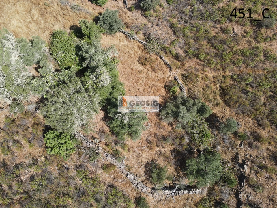 Terreno Agricola ou Rústico para Venda em Vaqueiros Foto 11