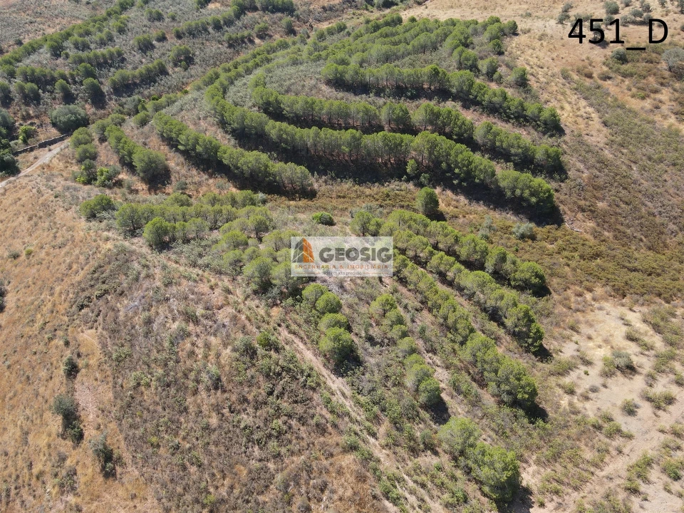 Terreno Agricola ou Rústico para Venda em Vaqueiros Foto 18