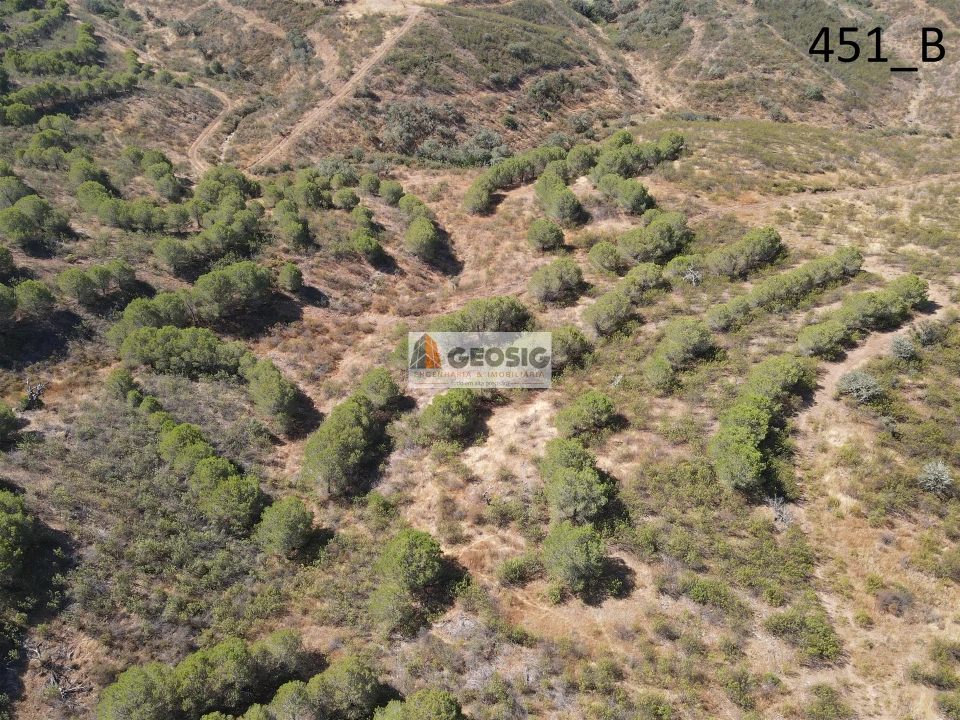 Terreno Agricola ou Rústico para Venda em Vaqueiros Foto 2
