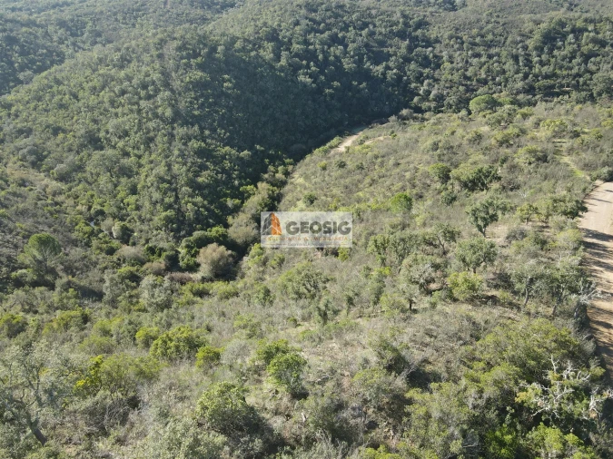 Terreno Agricola ou Rústico para Venda em São Barnabe Foto 1