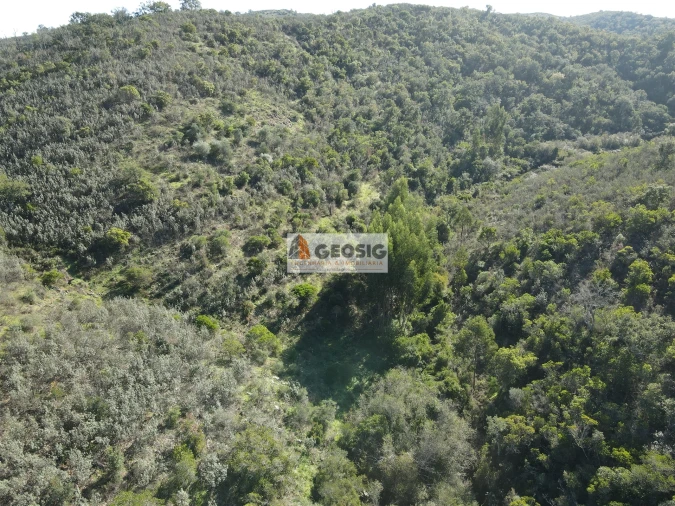 Terreno Agricola ou Rústico para Venda em São Barnabe Foto 2