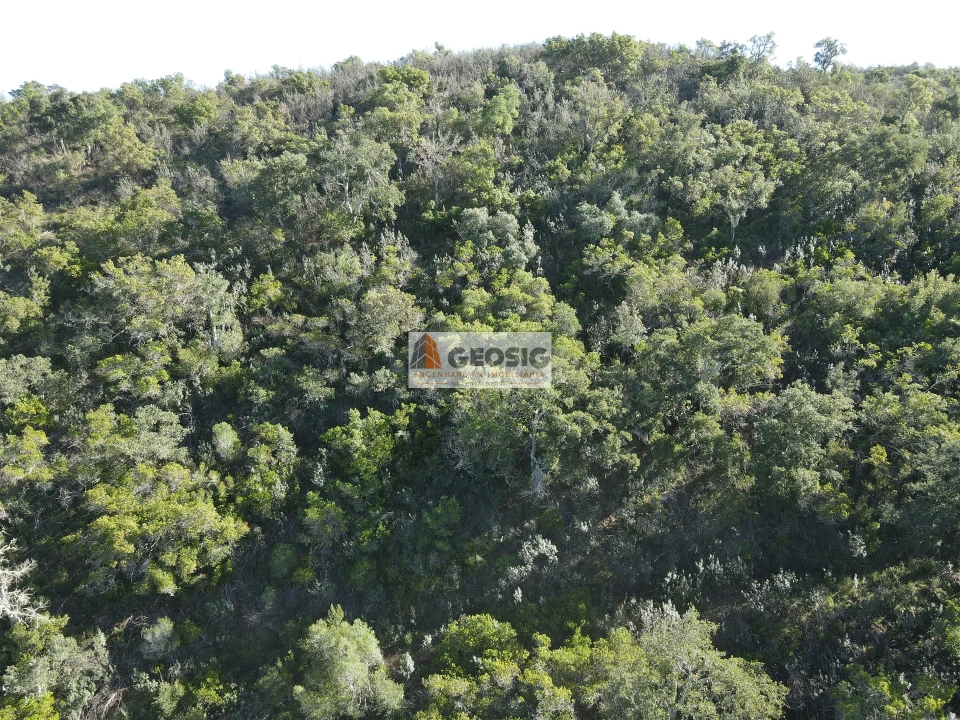 Terreno Agricola ou Rústico para Venda em São Barnabe Foto 4