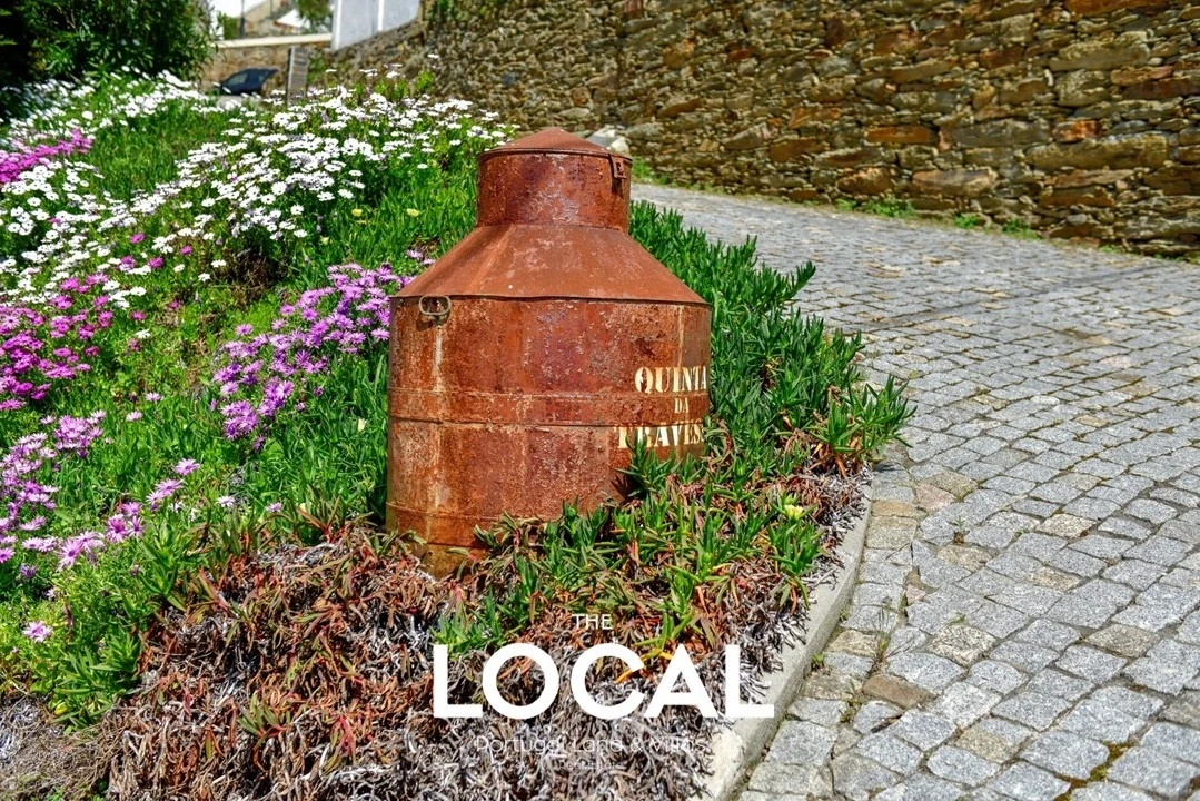 Quinta T6 para Venda em Galafura e Covelinhas Foto 11