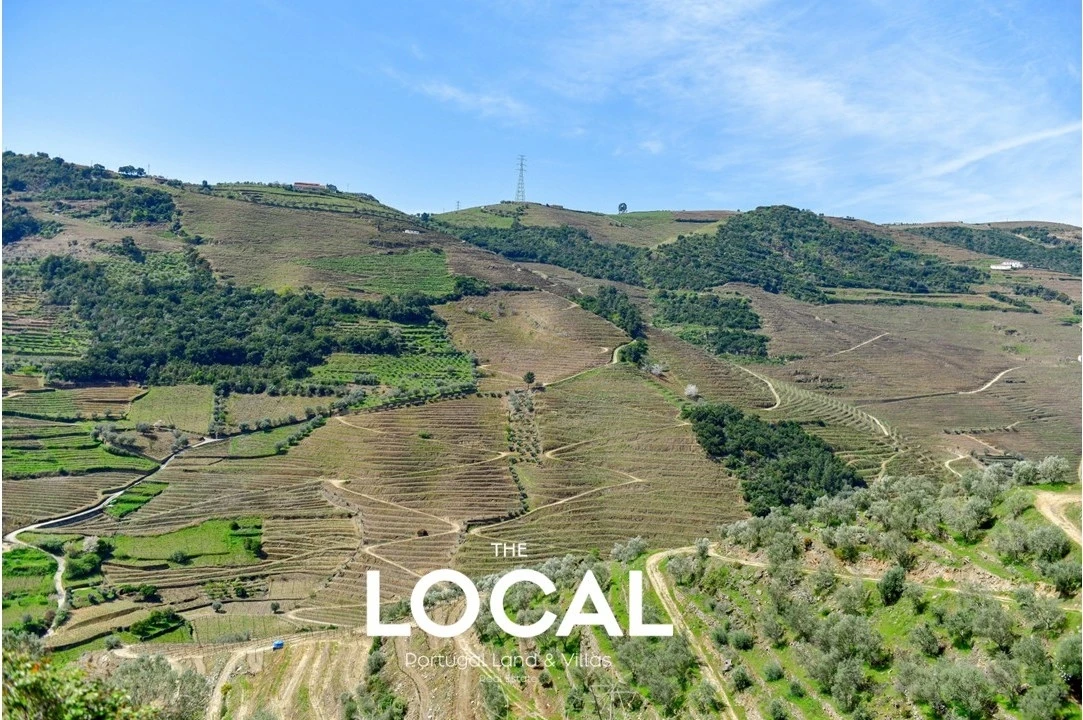 Quinta T6 para Venda em Galafura e Covelinhas Foto 4