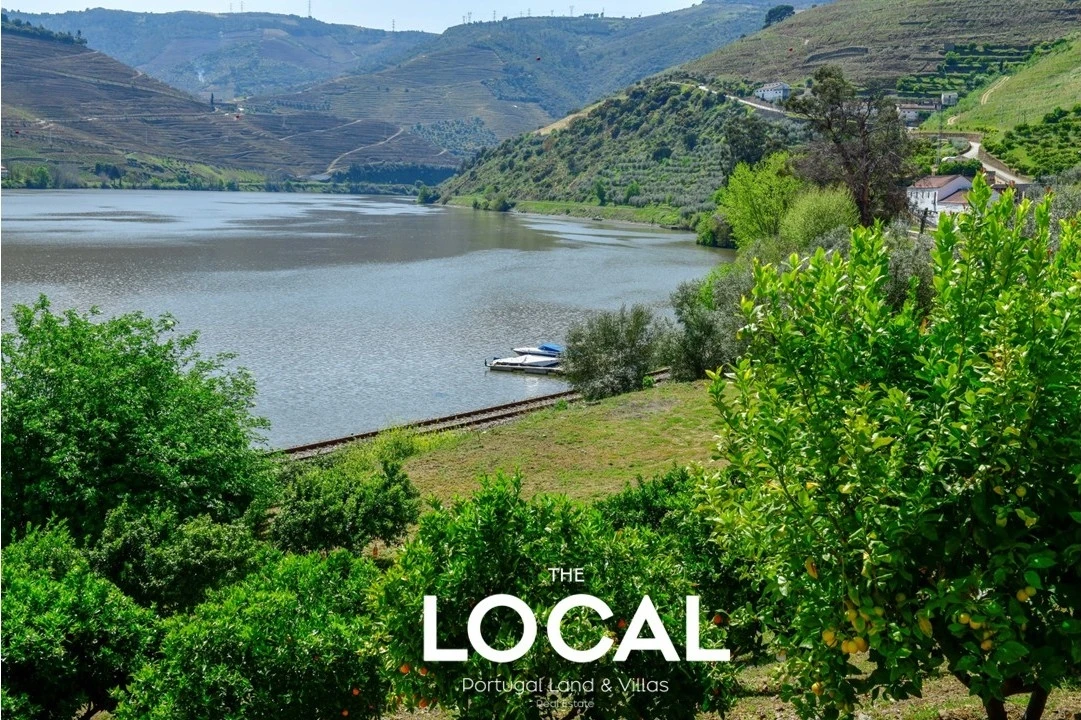 Quinta T6 para Venda em Galafura e Covelinhas Foto 31