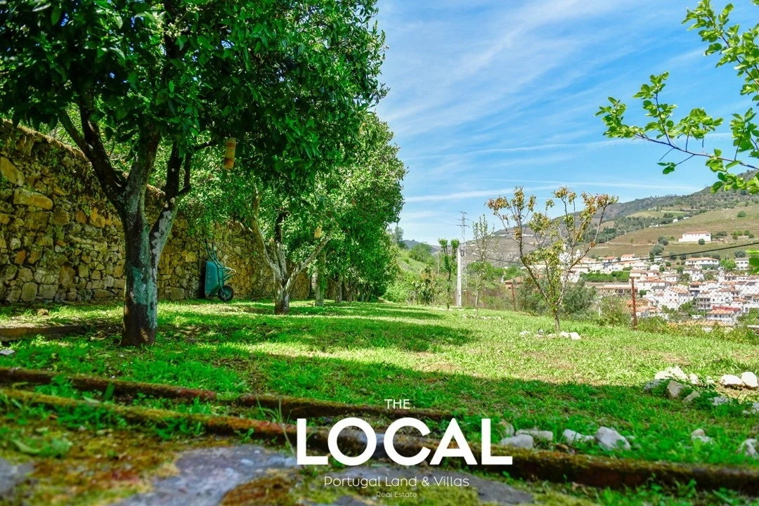Quinta T6 para Venda em Galafura e Covelinhas Foto 33