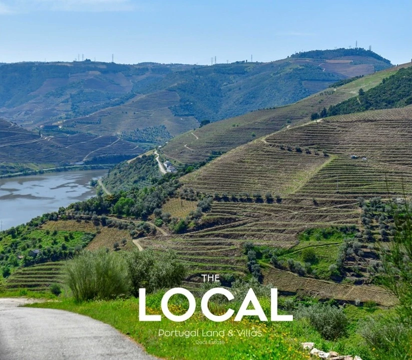 Quinta T6 para Venda em Galafura e Covelinhas Foto 8