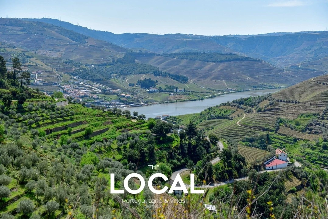 Quinta T6 para Venda em Galafura e Covelinhas Foto 5