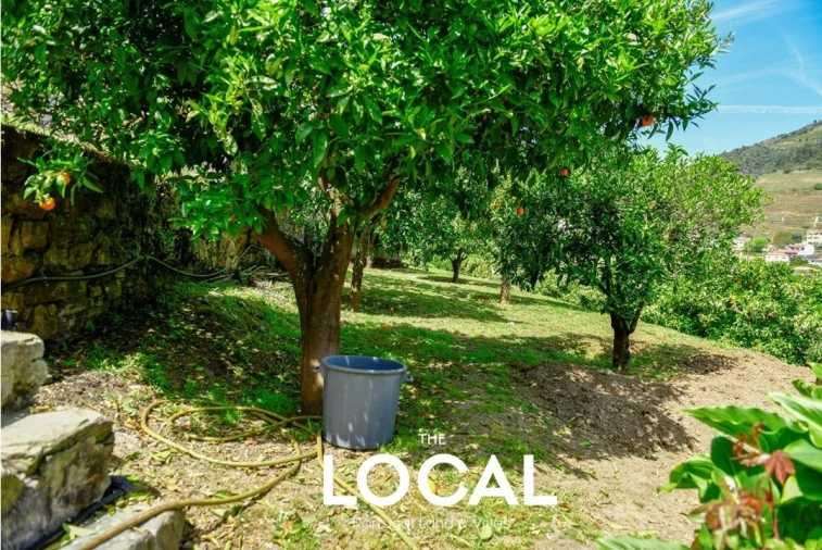 Quinta T6 para Venda em Galafura e Covelinhas Foto 30