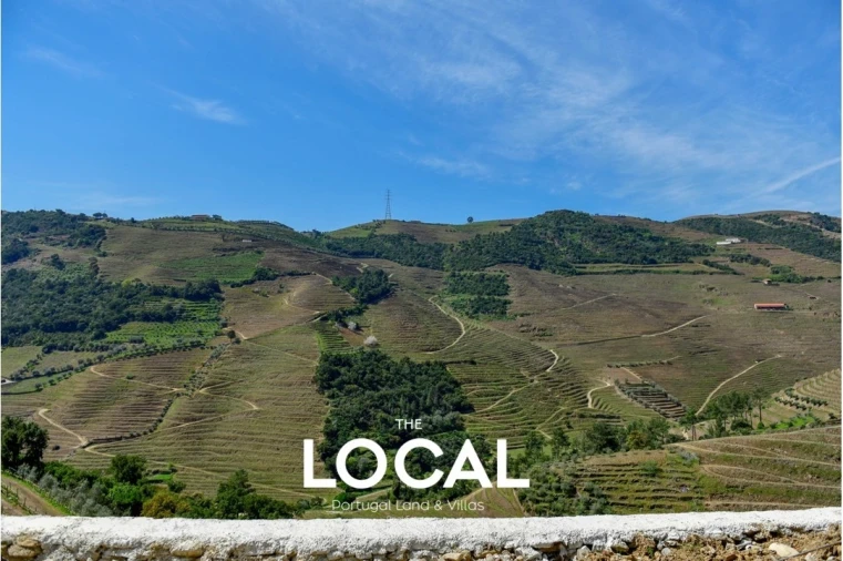 Quinta T6 para Venda em Galafura e Covelinhas Foto 3