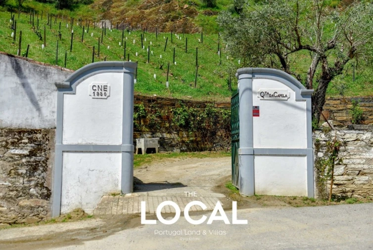 Quinta T6 para Venda em Galafura e Covelinhas Foto 13