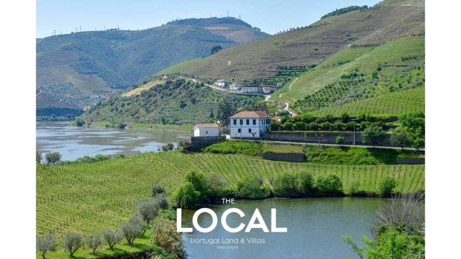 Quinta T6 para Venda em Galafura e Covelinhas Foto 10
