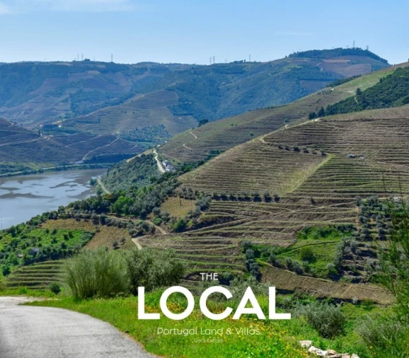 Quinta T6 para Venda em Galafura e Covelinhas Foto 8