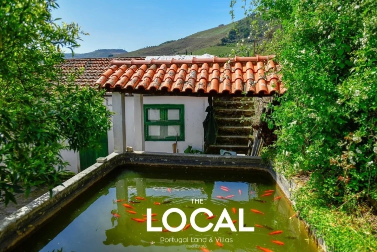 Quinta T6 para Venda em Galafura e Covelinhas Foto 16