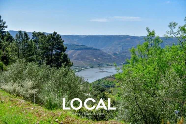 Quinta T6 para Venda em Galafura e Covelinhas Foto 6