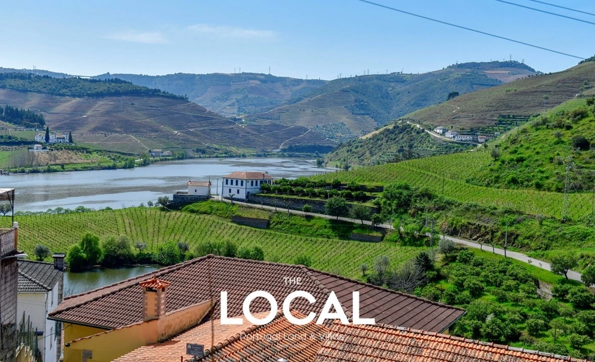 Quinta T6 para Venda em Galafura e Covelinhas Foto 9