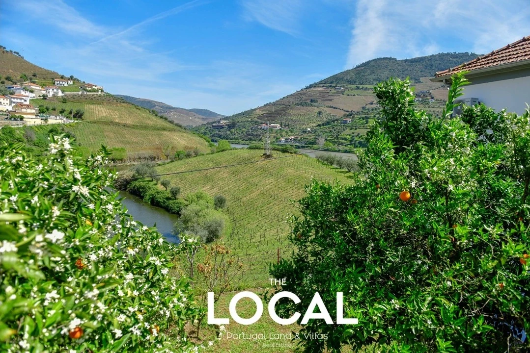 Quinta T6 para Venda em Galafura e Covelinhas Foto 32