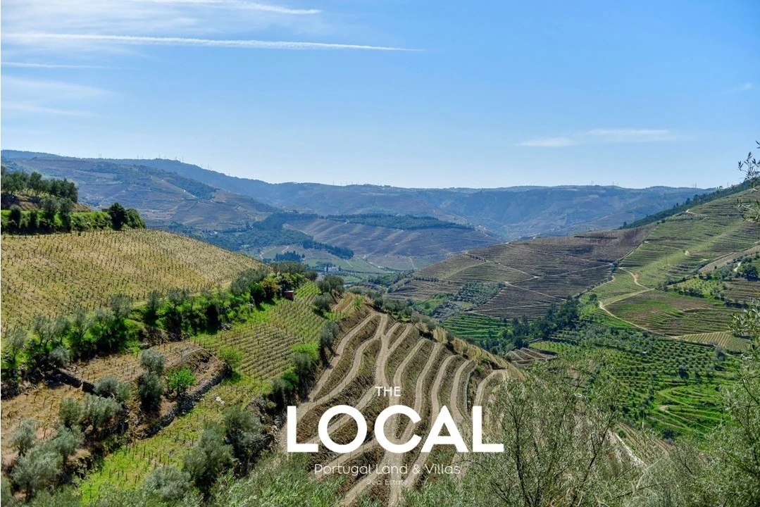Quinta T6 para Venda em Galafura e Covelinhas Foto 7