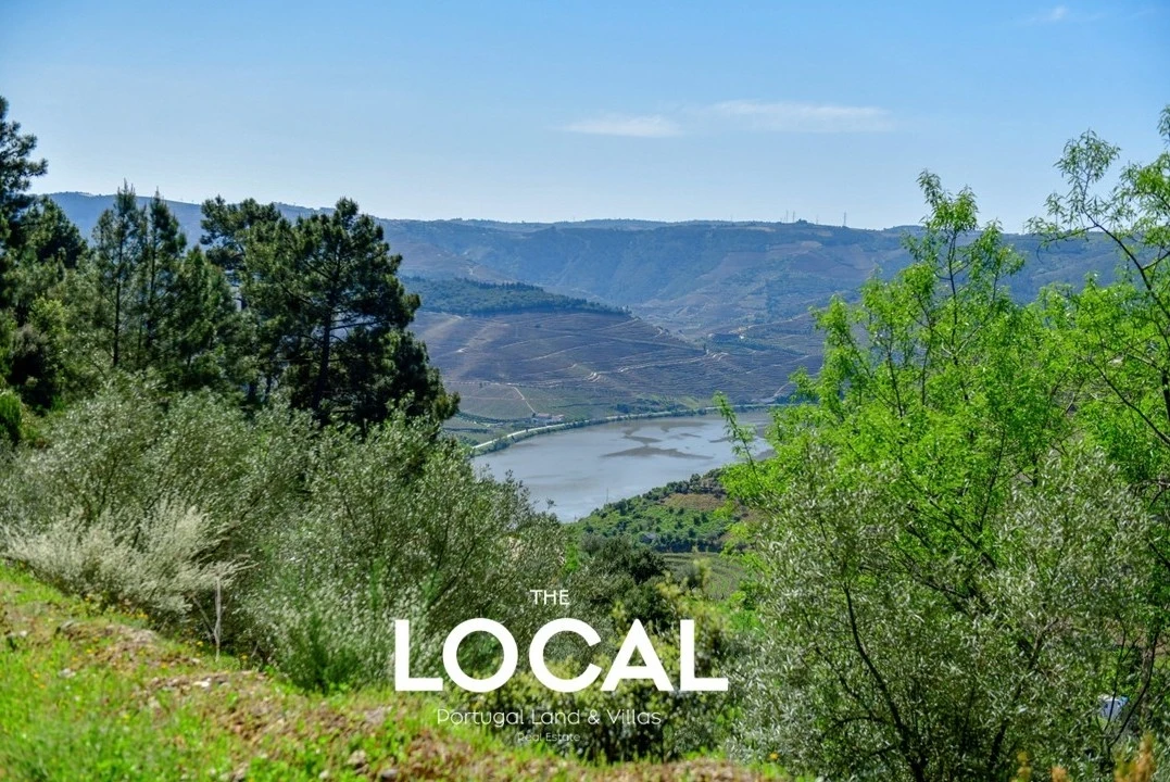 Quinta T6 para Venda em Galafura e Covelinhas Foto 6