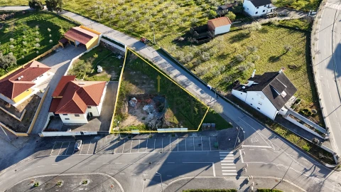 Terreno para Venda em Alfandega da Fe