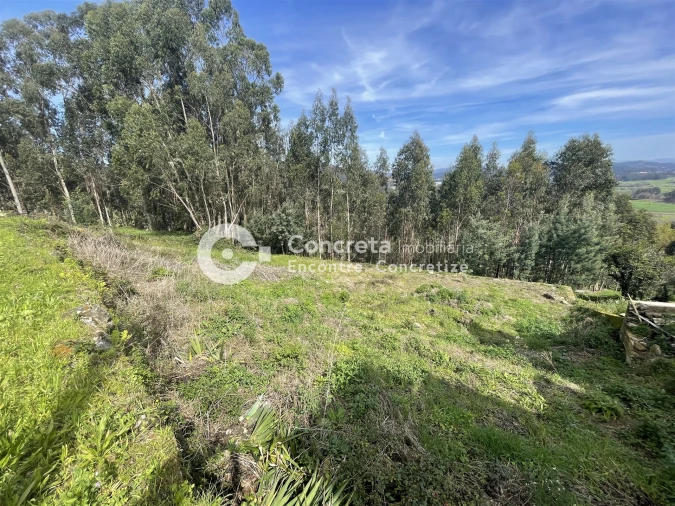 Terreno para Venda em Quintiães e Aguiar Foto 3