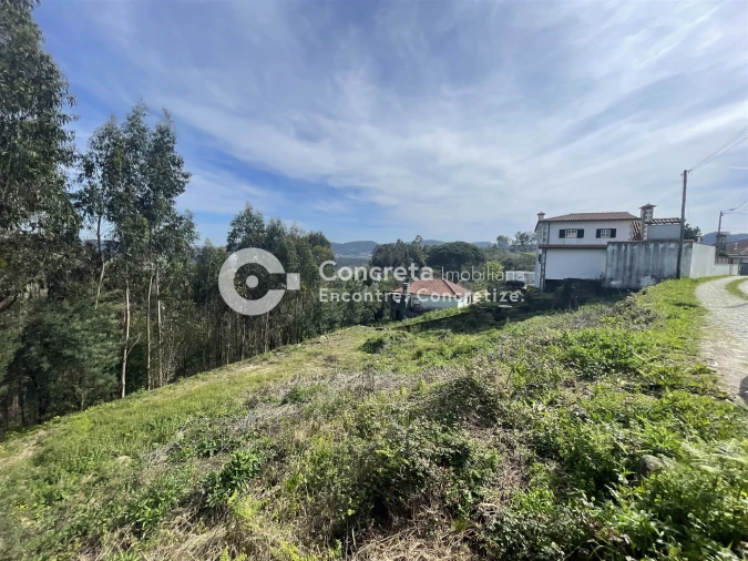 Terreno para Venda em Quintiães e Aguiar Foto 4