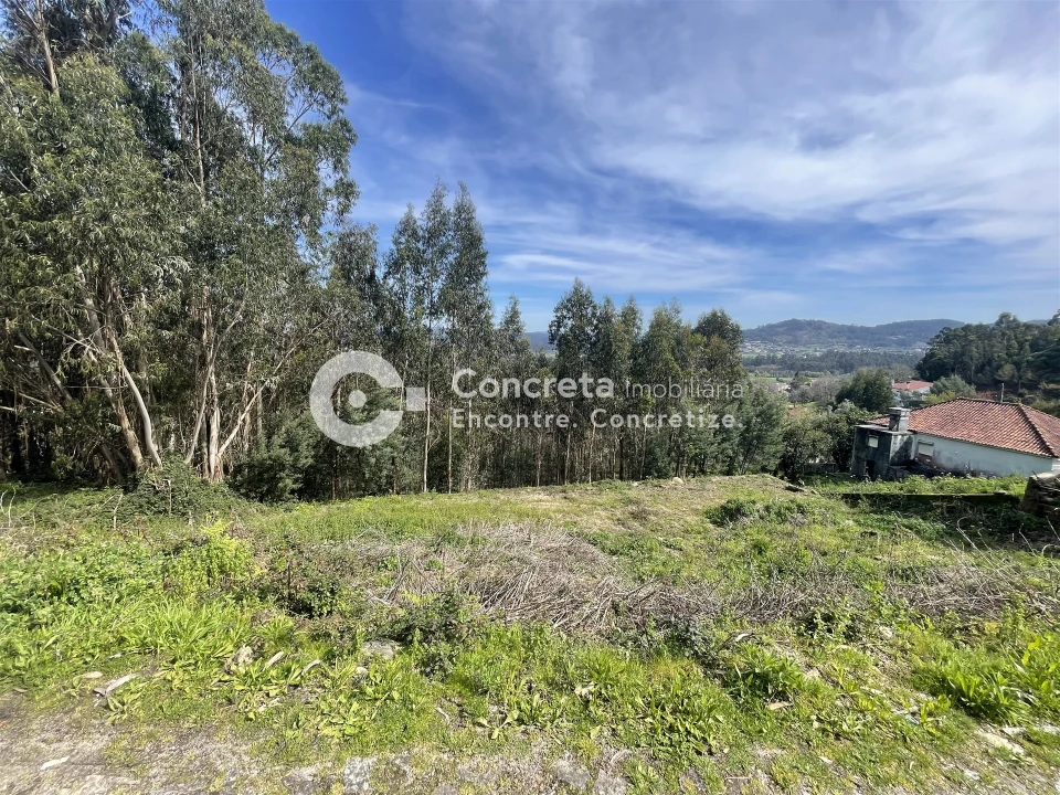 Terreno para Venda em Quintiães e Aguiar Foto 1
