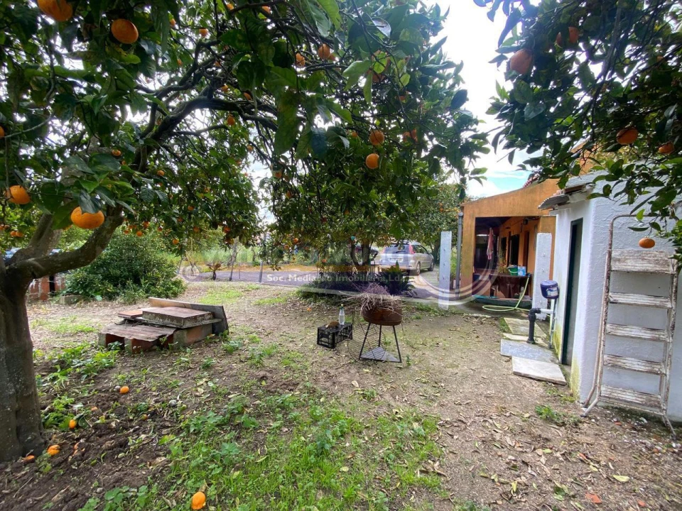 Moradia T1 para Venda em Marinhais Foto 14