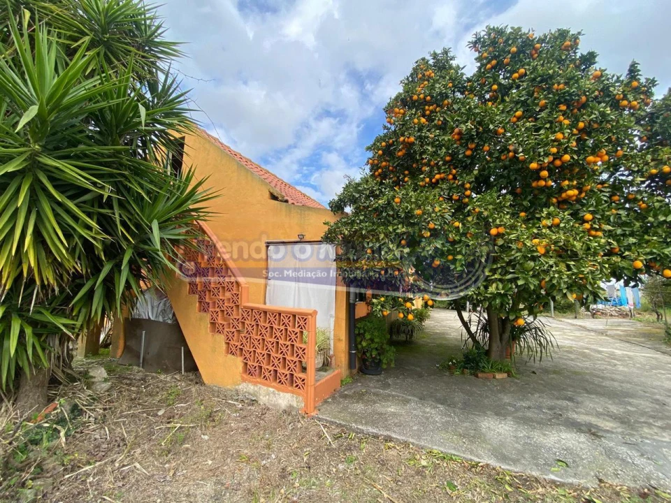 Moradia T1 para Venda em Marinhais Foto 2