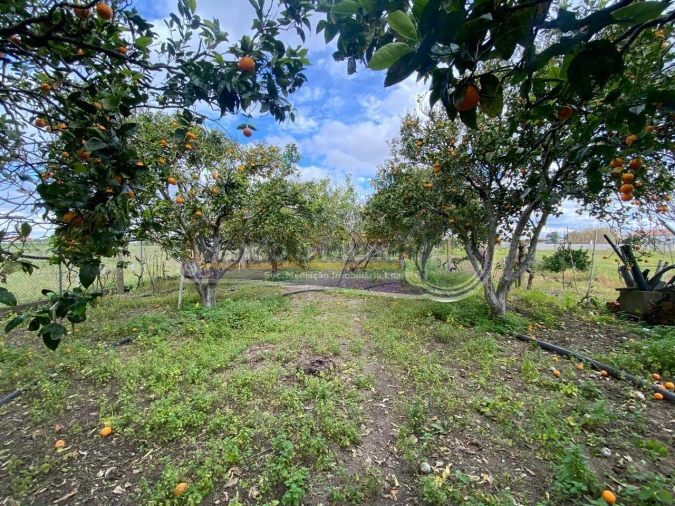 Moradia T1 para Venda em Marinhais Foto 15