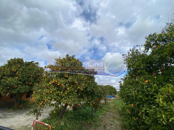 Moradia T1 para Venda em Marinhais Foto 16