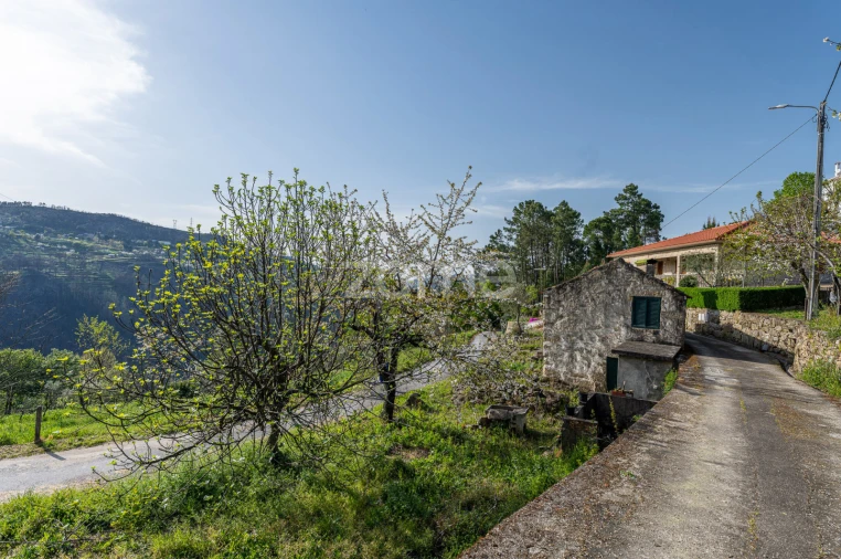 Moradia T1 para Venda em Freigil e Miomães Foto 22