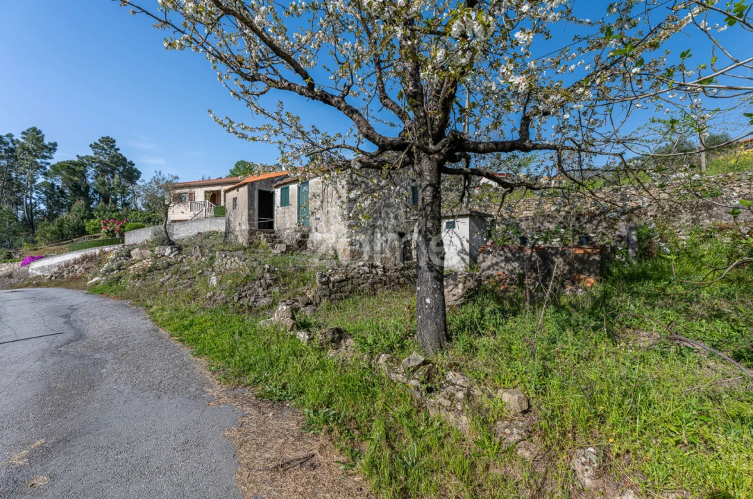 Moradia T1 para Venda em Freigil e Miomães Foto 16