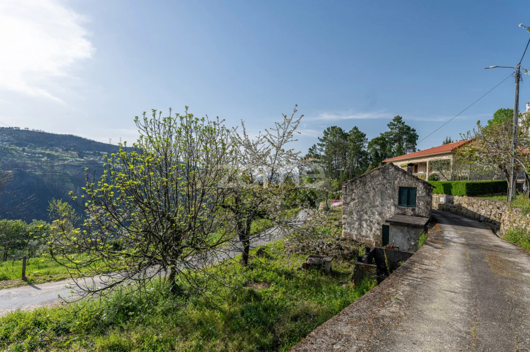 Moradia T1 para Venda em Freigil e Miomães Foto 22