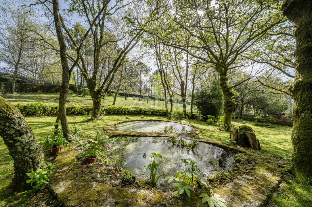 Quinta T6 para Venda em Mentrestido Foto 71