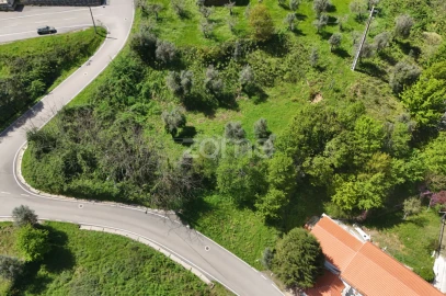 Terreno para Venda em Arganil
