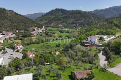 Terreno para Venda em Arganil