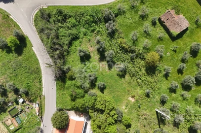 Terreno para Venda em Arganil