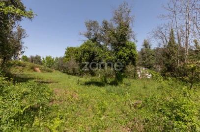 Terreno para Venda em Arganil