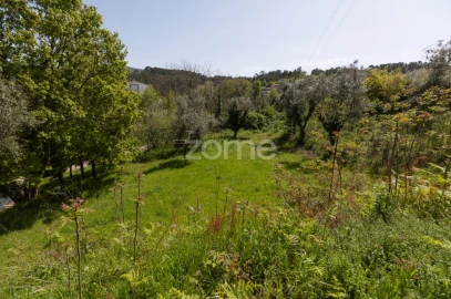 Terreno para Venda em Arganil