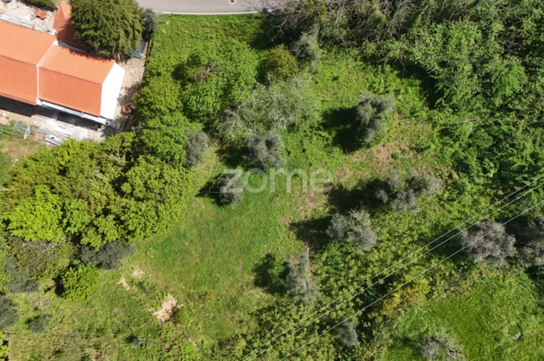 Terreno para Venda em Arganil Foto 13